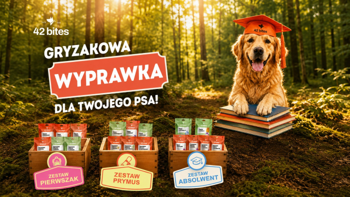 Back2School 2026 - sprawdź wyprawki przygotowane w tym roku