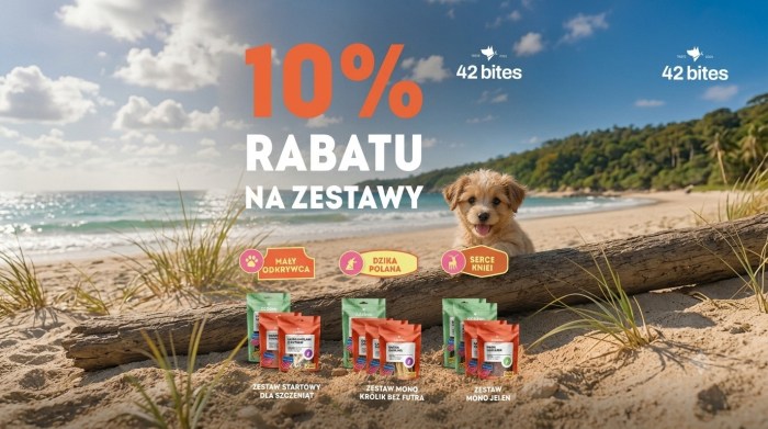 Letnia promocja na wybrane zestawy – aktywna tylko przez dwa tygodnie!