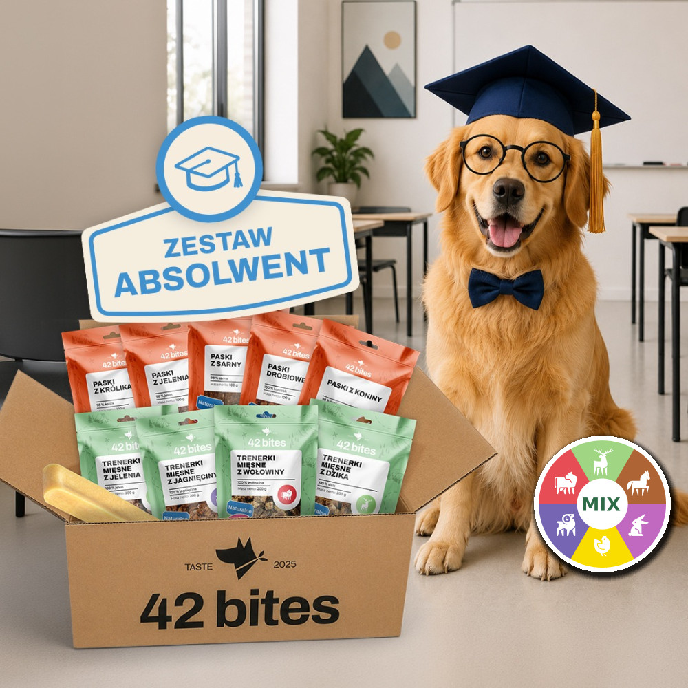 Back2School - Zestaw Absolwent - Hover view
