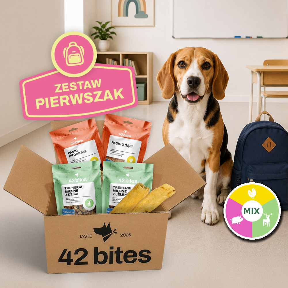 Back2School - Zestaw Pierwszak - Hover view