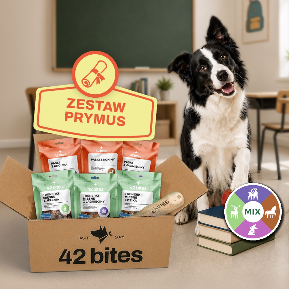 Back2School - Zestaw Prymus - Hover view