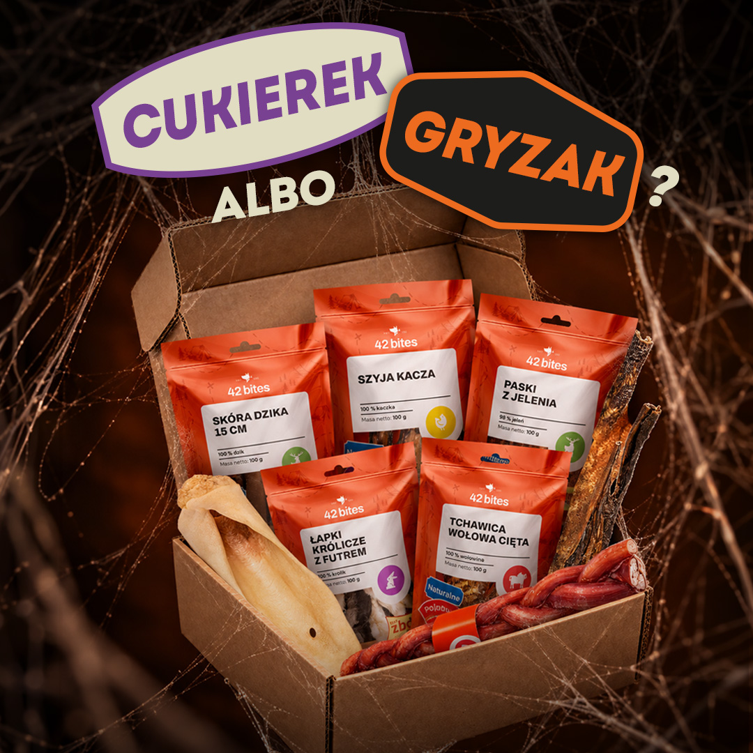 Halloween - Zestaw Cukierek albo Gryzak - Hover view
