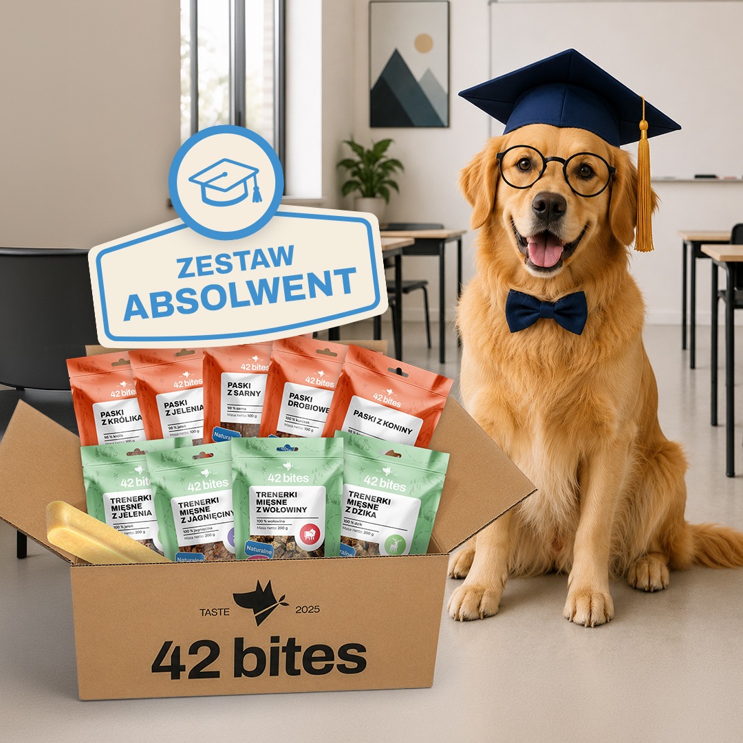 Back2School - Zestaw Absolwent - Hover view