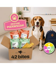 Back2School - Zestaw Pierwszak