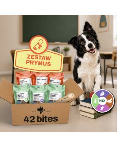 Back2School - Zestaw Prymus