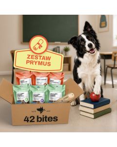 Back2School - Zestaw Prymus