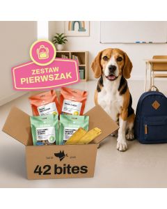 Back2School - Zastaw Pierwszak