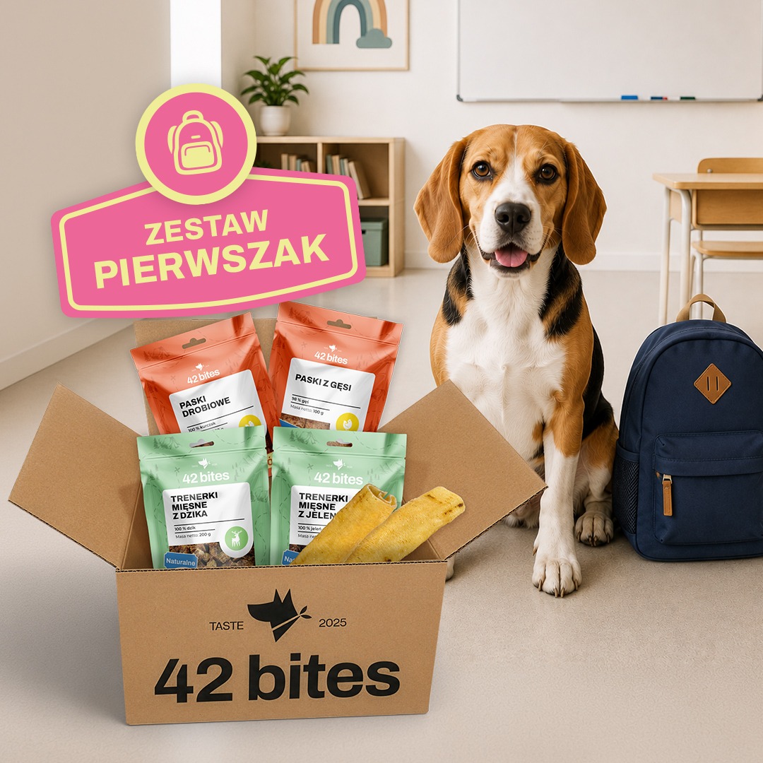 Back2School - Zastaw Pierwszak - Hover view