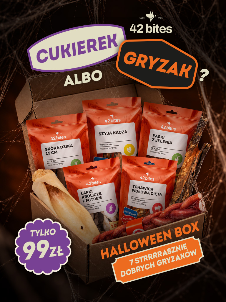 Halloween Box 42 Bites – Cukierek albo Gryzak, 7 gryzaków za 99 zł